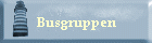 Busgruppen